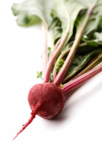 beet