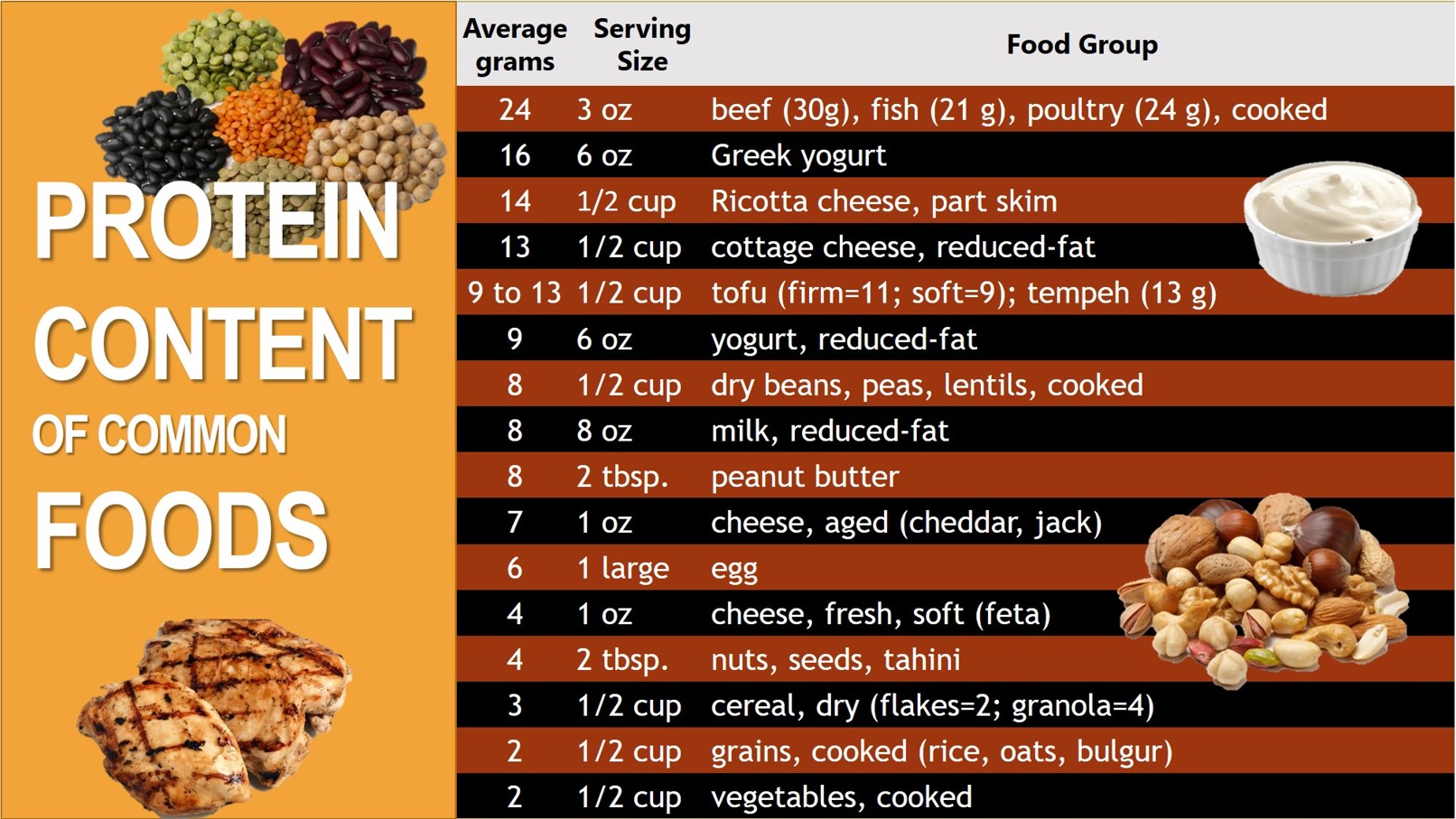 Protein Content Of Common Foods