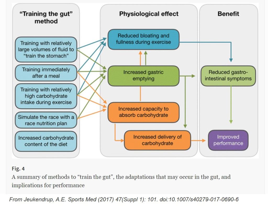 Nutrition, sport et performance