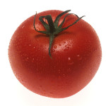 tomato_public domain_nci-vol-2642-72