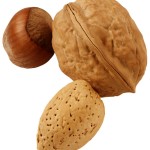 walnutinshell
