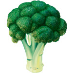 broccoli