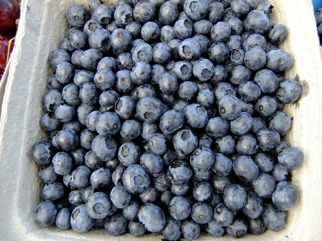 blueberries photo