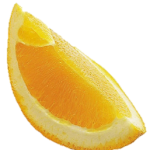 orange slice no background2