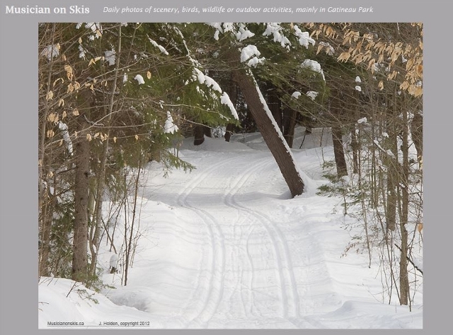Trail36_musicianonskis(640x474)