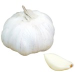 garlic no background