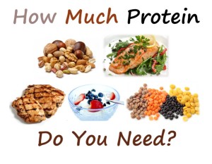 how much protein