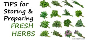 storing herbs_featureimage