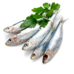 sardines with parsley - sardine