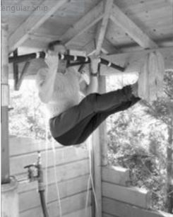 80-year-old Norwegian performing his strength training program. (from Fig 1., Case Reports in Medicine Volume 2015 (2015)).