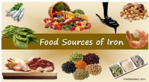 food sources of iron