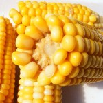 corn-87332_640