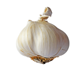 garlic-small_pubdomain