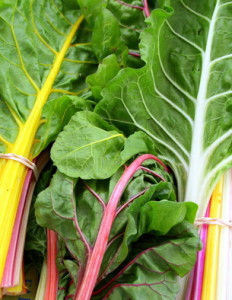 Fresh Swish Chard