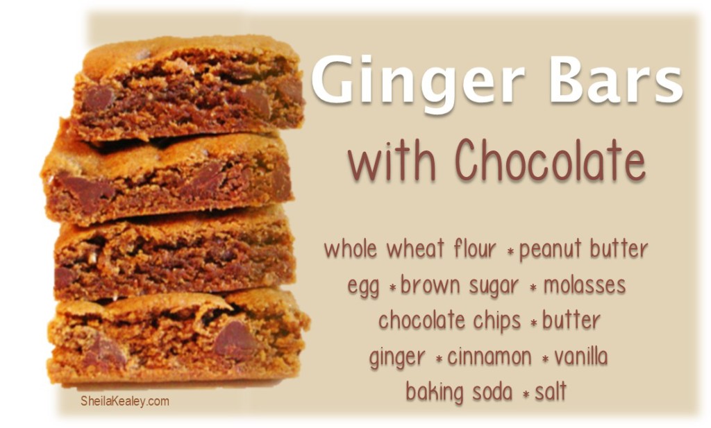 Ginger Bars With Chocolate Text