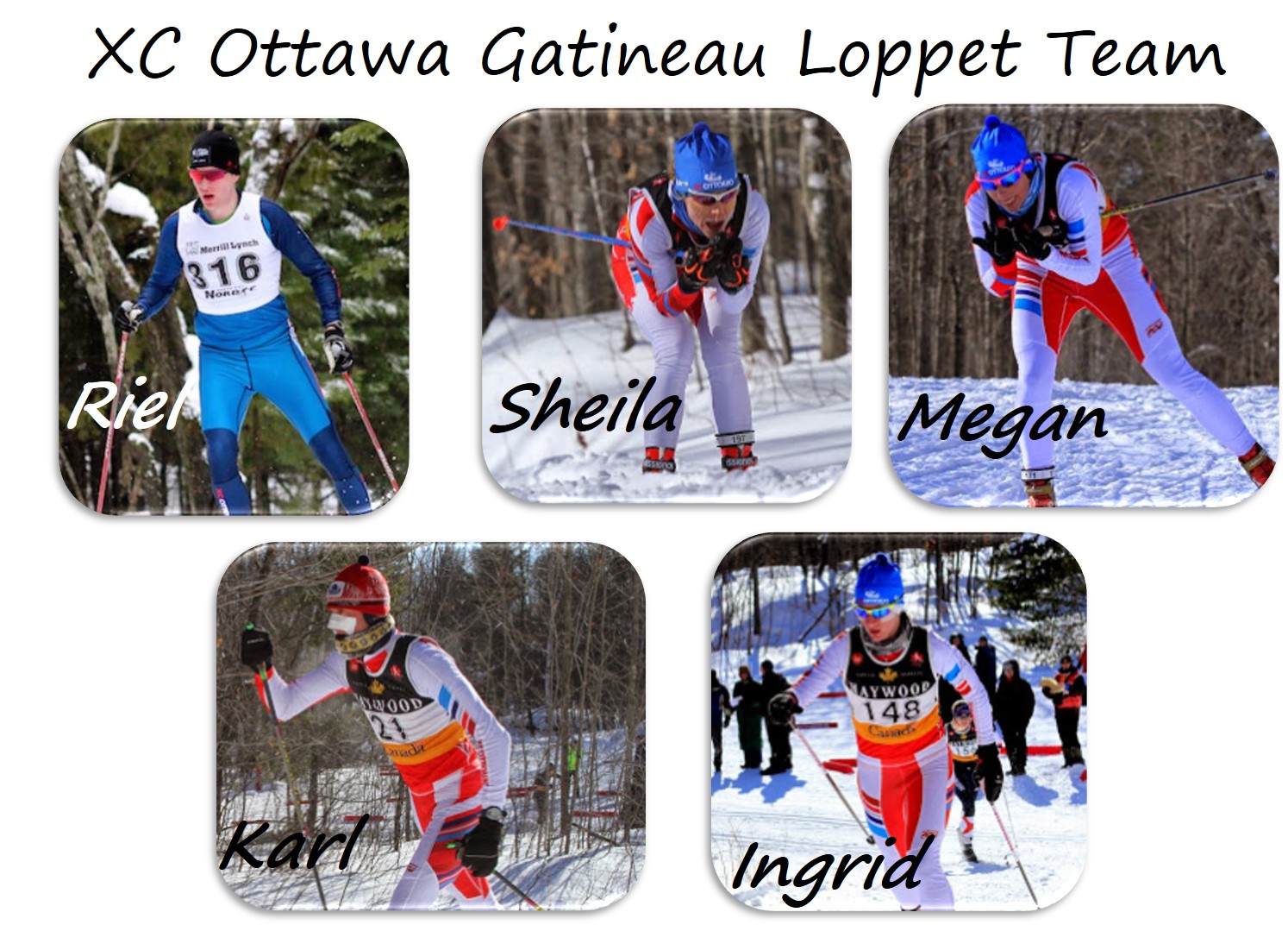 Xc Ottawa Loppet Team 2016