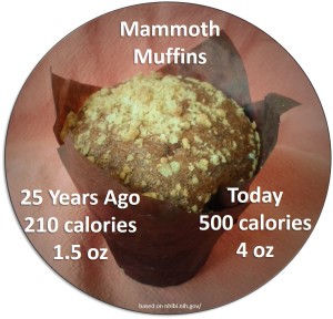 Mammoth Muffin